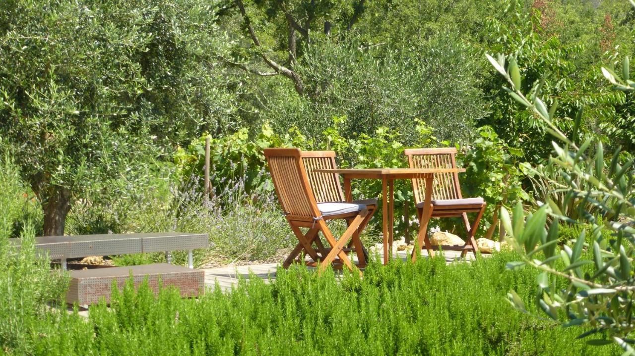 Le Vallon Des Oliviers Montauroux Exteriör bild